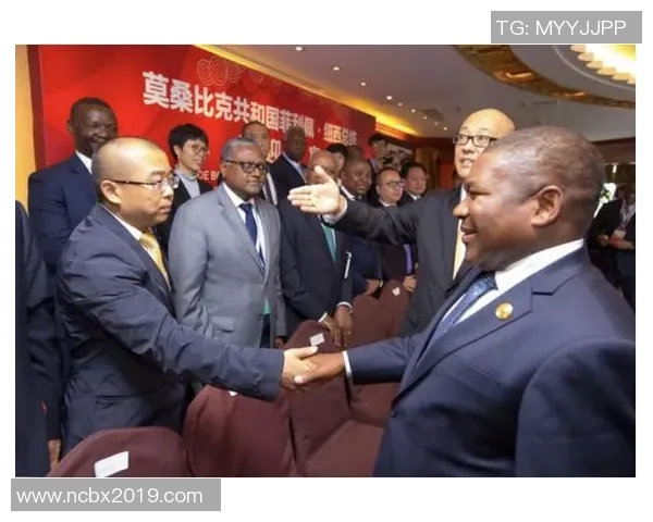 南京篮球队团队协作分析与其他球队对比的深度探讨与启示