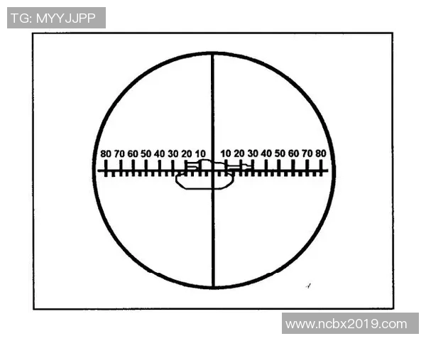南京排球队战术揭秘:从训练到比赛的全景分析与策略探讨 南京排球队战术揭秘:从训练到比赛的全景分析与策略探讨
