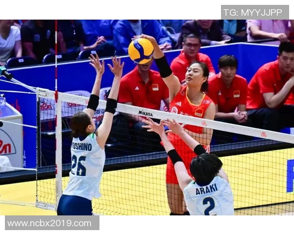 排球速度排名:上海排球队创新高 排球速度排名:上海排球队创新高