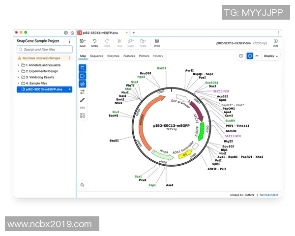 重磅专题：IG的控制革新